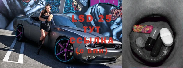 a pvp Осинники