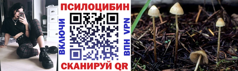 Купить закладки  Брюховецкая  Галлюциногенные грибы MAGIC MUSHROOMS 